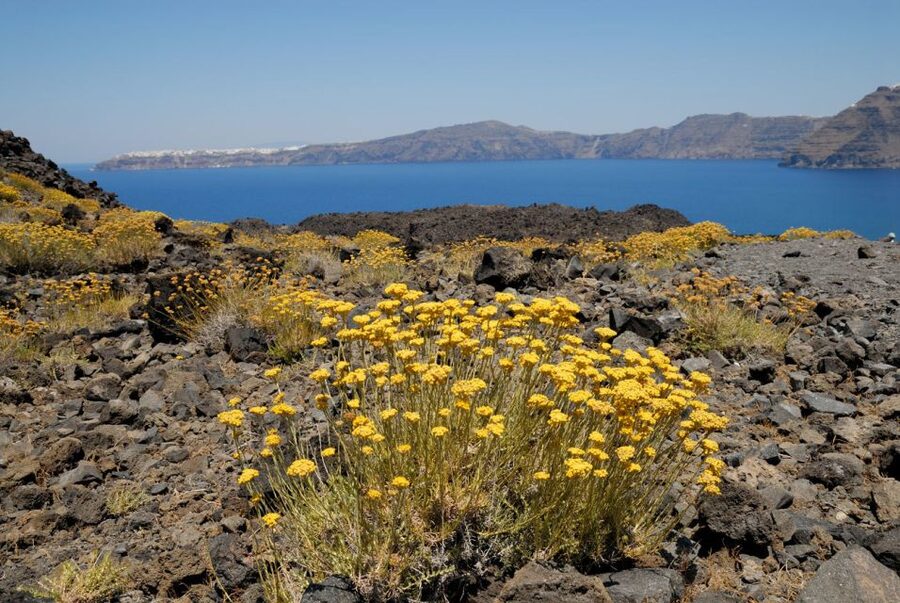 1-Day Boat Trip: Santorini Volcano, Thirassia & Oia Sunset - Who this tour suits best (and who should skip it)