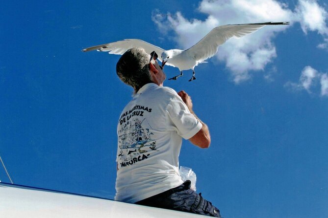 1-hour boat trip around the Port of Mahón - Price and Value: Is $23.58 Worth It?