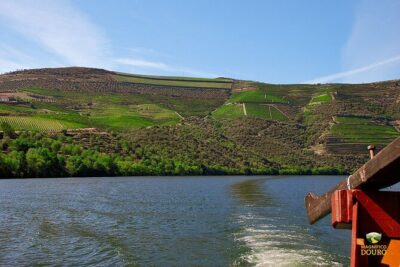 1-Hour Rabelo Boat Trip in Pinhão - The sights that make this a Douro highlight