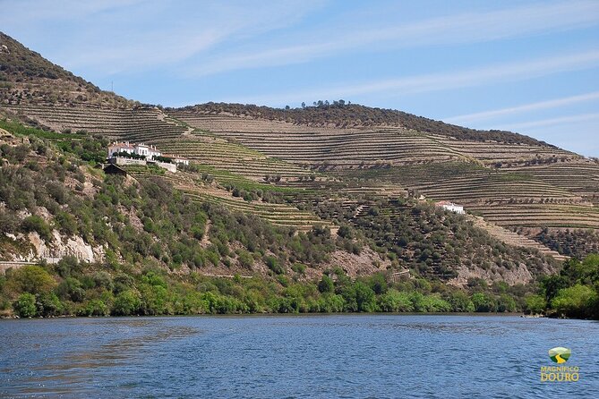 1-Hour Rabelo Boat Trip in Pinhão - Time, crowds, and the real picture for photos