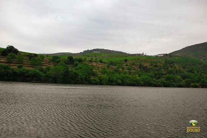 1-Hour Rabelo Boat Trip in Pinhão - Who should book this (and who should consider something longer)