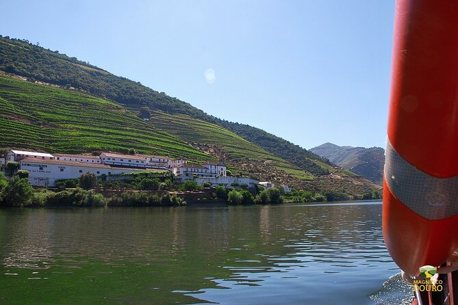 1-Hour Rabelo Boat Trip in Pinhão - Booking strategy: early departures give you breathing room