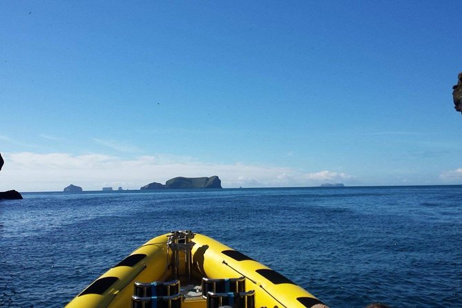 1-Hour Small Group Sightseeing Boat Tour in Vestmannaeyjar - Meeting Point at Tangagata 7: Fast Check-In, Then Off You Go