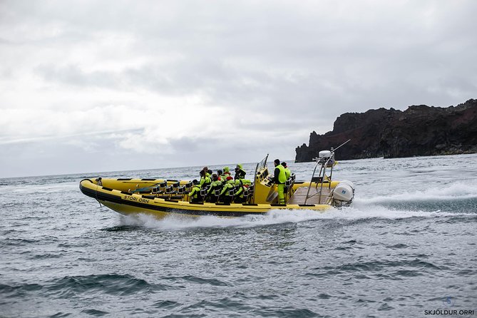 1-Hour Small Group Sightseeing Boat Tour in Vestmannaeyjar - Who This Boat Tour Is Best For