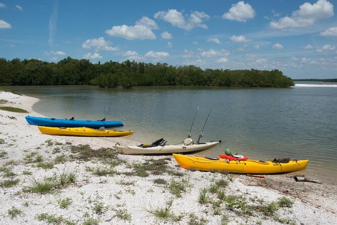 10,000 Islands Excursion Small-Group 3.5 hour Dolphin & Shelling Boat Tour - Key things I’d tell a friend before you book