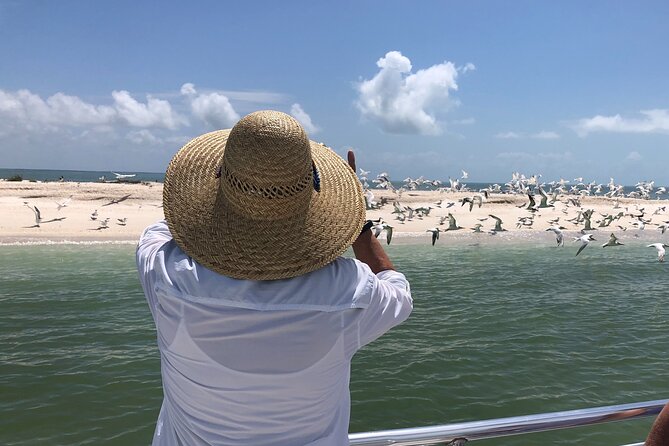 10,000 Islands Excursion Small-Group 3.5 hour Dolphin & Shelling Boat Tour - The shelling experience: tips that help you find better shells