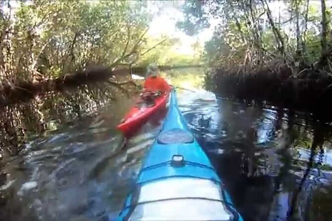 10000 Islands Everglades Boat Tour - The 3-hour flow on the water: a calm ride with real pauses