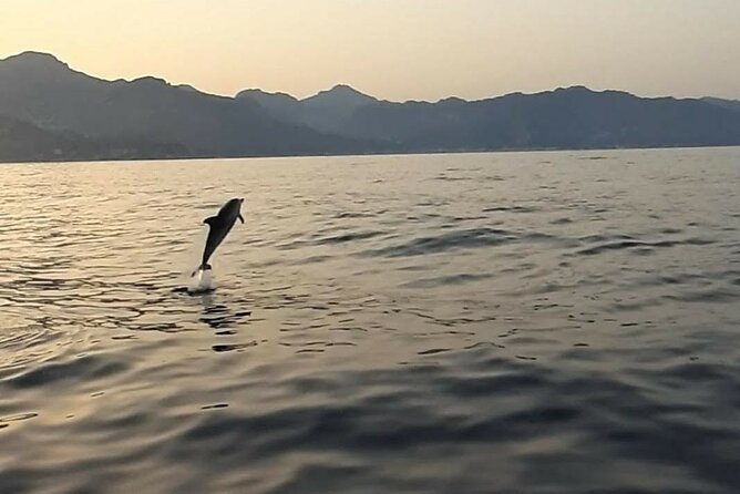 2.5 Hours Sunset Boat Tour in Search of Dolphins - Sunset boat tour from Giardini Naxos: what you’re really booking