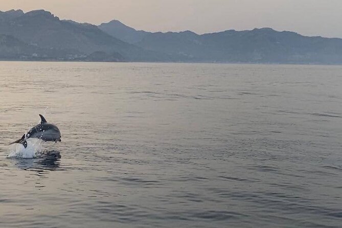 2.5 Hours Sunset Boat Tour in Search of Dolphins - Etna sunset on the return: why the timing is part of the magic