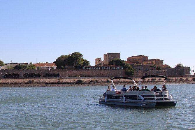 2-hour Bird Watching Guided Boat Trip in Ria Formosa from Faro Algarve - The 2-hour route: islands, wetland birds, and working oyster and clam farms