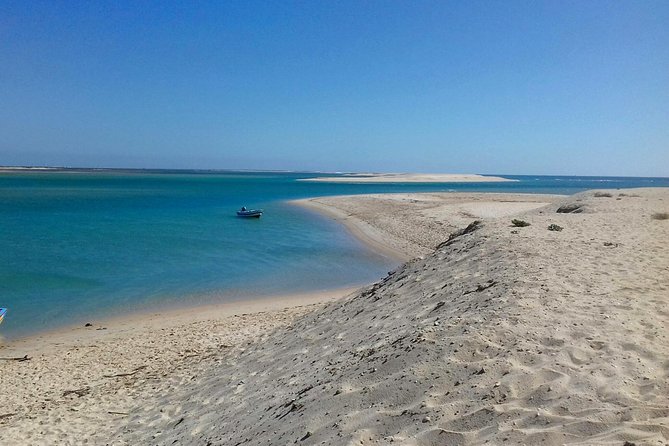 2-hour Bird Watching Guided Boat Trip in Ria Formosa from Faro Algarve - Best birding moments you’ll actually care about
