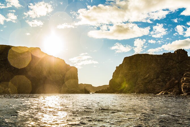 2 Hour Boat Tour in Twillingate - On-board comfort: heated cabin, warm drinks, and a real bar