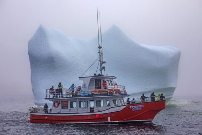 2 Hour Boat Tour in Twillingate - Iceberg Alley cruising: chasing 12,000-year-old giants