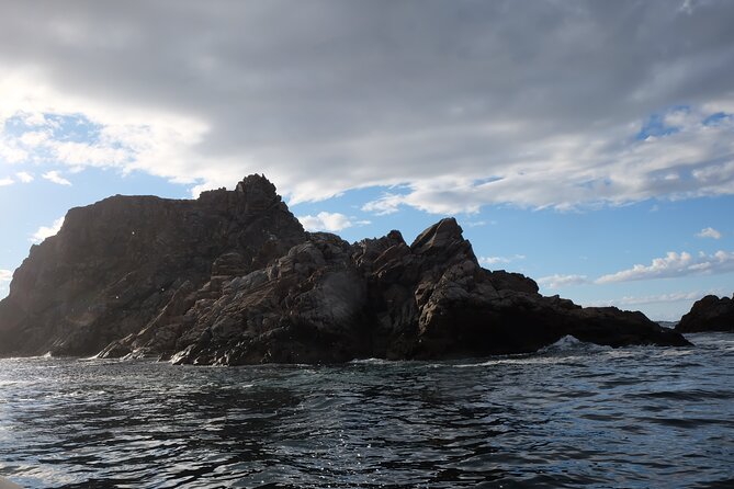 2 Hour Boat Tour in Twillingate - Sea days and weather reality: rain or shine, but not equal comfort