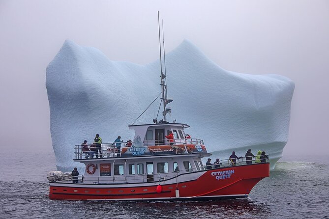 2 Hour Boat Tour in Twillingate - Iceberg Alley cruising: chasing 12,000-year-old giants
