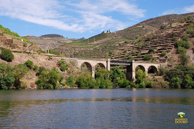 2-hour Rabelo Boat tour in Pinhão - What you’re really buying: a Douro view, not a full-day production