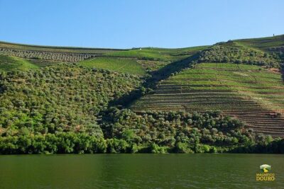2-hour Rabelo Boat tour in Pinhão - Boarding at Magnífico Douro Events in Pinhão: where the day can start smoothly or not