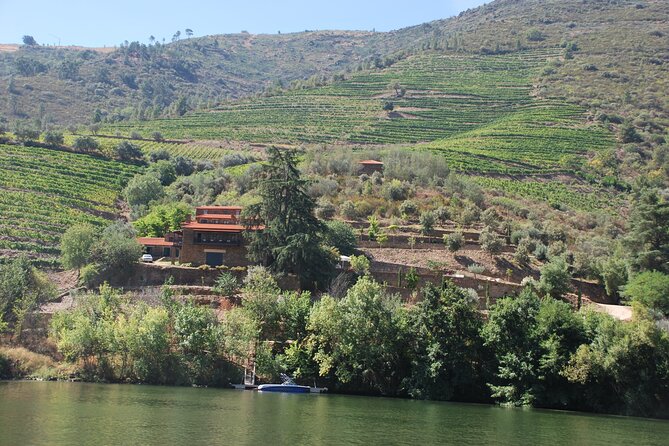 2-hour Rabelo Boat tour in Pinhão - The return trip: same river, different angles, better photos if you plan your side