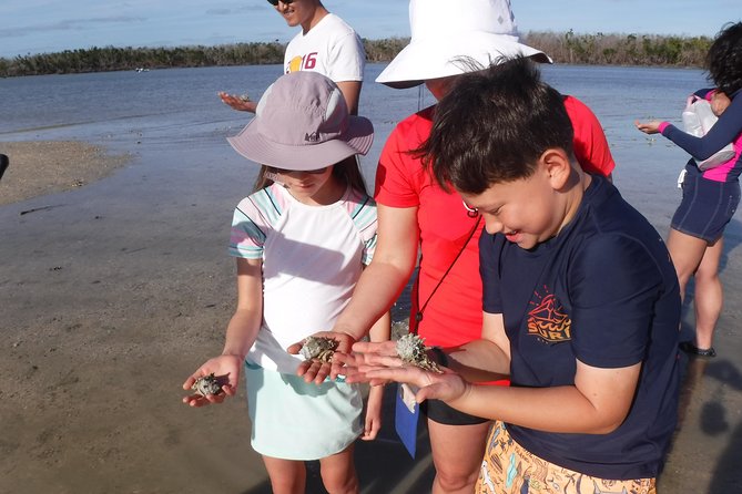 2-hour Shelling Boat Tour in the 10,000 Islands - Stop 1: Ten Thousand Islands Wildlife Refuge for the best shell-to-wildlife mix