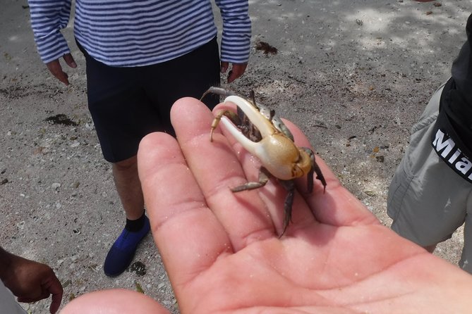 2-hour Shelling Boat Tour in the 10,000 Islands - The guides and the “respect for wildlife” factor