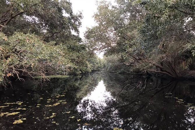 2 Hours Boat Tour in Louisiana Bayous Near New Orleans - Key Points You’ll Care About