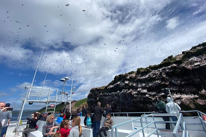 2 Hours Guided Whale and Bird Boat Tour in Bay Bulls - Quick hits from Bay Bulls and Witless Bay