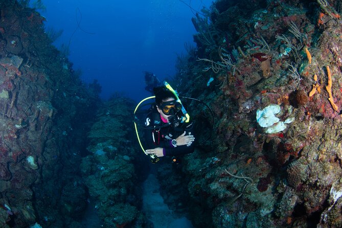 2-Tank Scuba Boat Trip in World-Class Sites @ Copamarina - The Epicenter: the earthquake name that actually means something