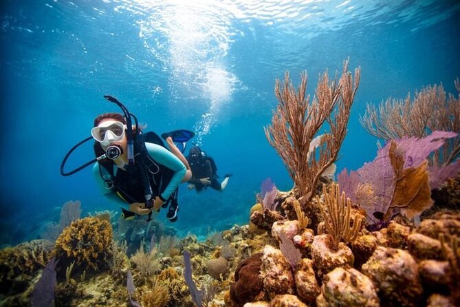 2-Tank Scuba Boat Trip in World-Class Sites @ Copamarina - Suitability: certification level and physical readiness