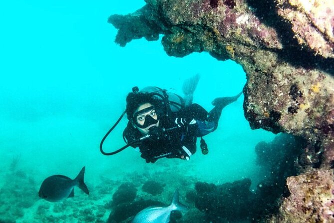2-Tank Scuba Boat Trip in World-Class Sites @ Copamarina - The Wall: visibility, depth, and the animals people come for