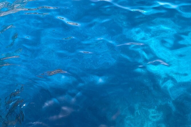 3-hour private boat tour of the island of Capri - Marina Piccola: A Short, Calm Reality Check