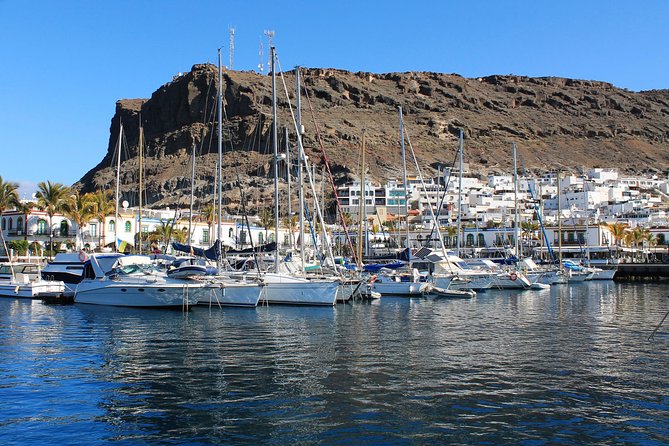 3h Boat Trip + Snorkeling in Puerto de Mogan - Snorkeling equipment, support, and what you’ll likely see