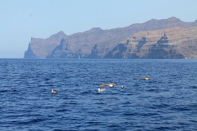 3h Boat Trip + Snorkeling in Puerto de Mogan - Photos, drone footage, and how the memories get delivered
