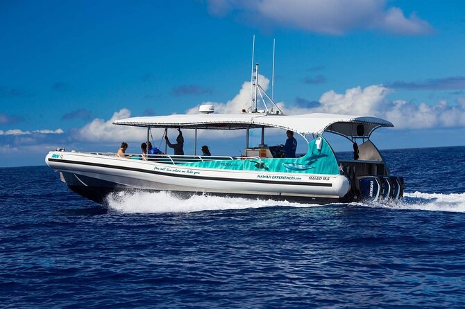 4 Hour Big Island Dolphin Watch Boat Tour, Snorkeling & BBQ Lunch - Stop 1: Garden Eel Cove / Manta Heaven snorkeling