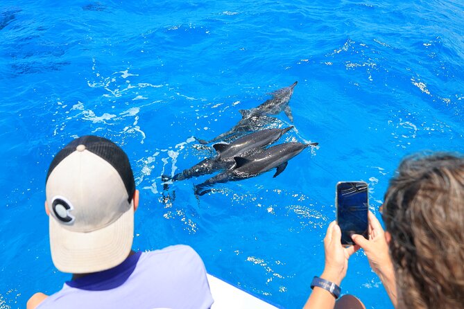 4 Hour Big Island Dolphin Watch Boat Tour, Snorkeling & BBQ Lunch - Stop 2: the Kona swim that adds a second chance at wildlife