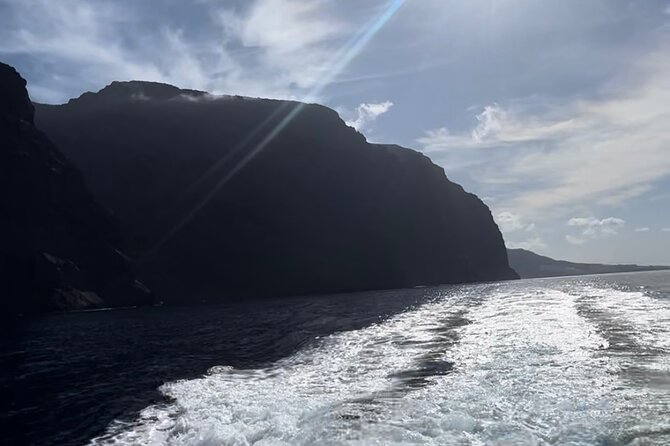 4 Hour Boat Tour with Snorkeling from Puerto Rico and Mogan - Crew, Group Size, and the Little Things That Make It Feel Luxurious