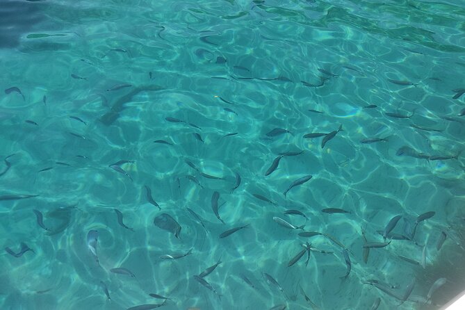 4-Hour Private Boat Tour in Corfu - Who should book this (and who might not)