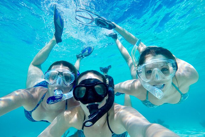 4 Hour Private Ecotour and Snorkeling Boat Tour - Key highlights to know before you go