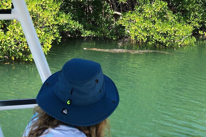 4 Hour Private Ecotour and Snorkeling Boat Tour - Florida Bay mangrove islands: where the wildlife feels close