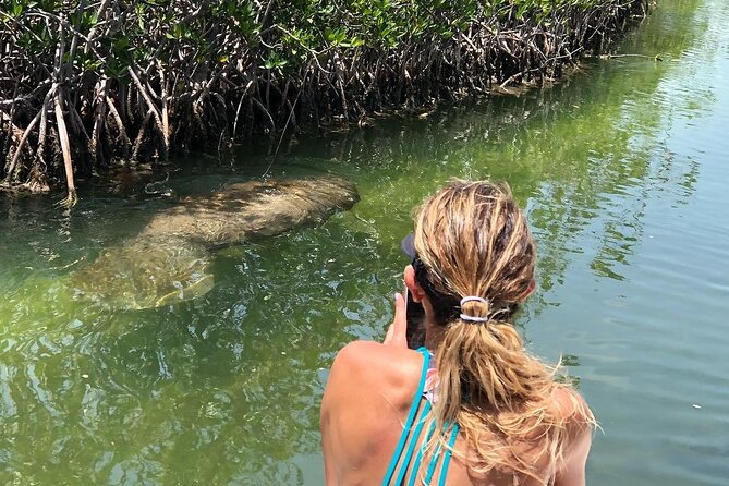 4 Hour Private Ecotour and Snorkeling Boat Tour - Price and value: $900 for up to 6 people