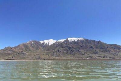 45 Minute Great Salt Lake Boat Tour - Meeting at Great Salt Lake State Marina: Easy Start, One Key Detail