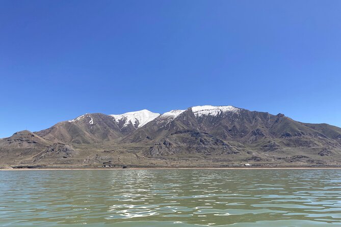 45 Minute Great Salt Lake Boat Tour - Meeting at Great Salt Lake State Marina: Easy Start, One Key Detail
