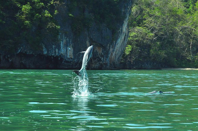 5 Hours Sharing Basis Kilim Mangrove Safari Boat Tour in Langkawi - Gua Kelawar (Bat Cave): Short Time, Real Focus