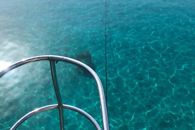6 Hours Private Charter Boat Tour with Lunch in Bodrum - Rabbit Bay and the Blue Flag detail: great water, no rabbits