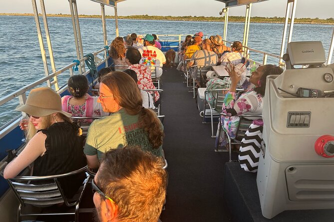 Adventure Boat Tours Dolphin Tails & History Cruise St Augustine - Dolphins near the inlet: what to expect and how to maximize your odds