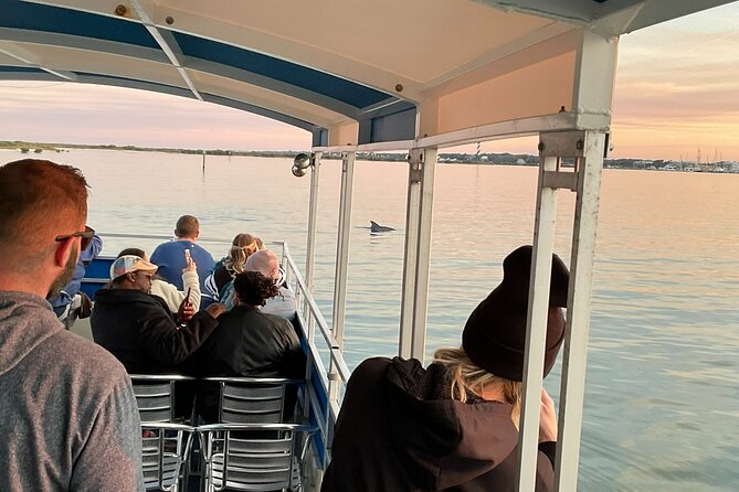 Adventure Boat Tours Dolphin Tails & History Cruise St Augustine - Who this cruise fits best (and who might want a different option)