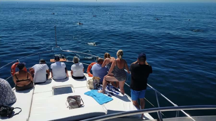 Agadir: Boat Trip with Fishing, Swimming, and BBQ Lunch - Practical Tips Before You Go: Pack Smart, Stay Comfortable