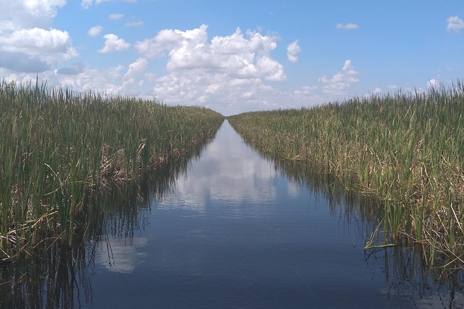 Air Boat Tour of Palm Beach in The Swamp Monster - Should You Book the Swamp Monster Air Boat Tour of Palm Beach Area?