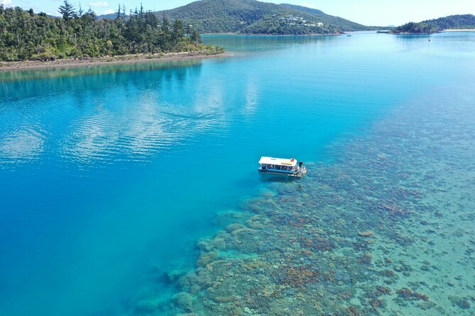 Airlie Beach Glass Bottom Boat Tour - Key points to know before you go