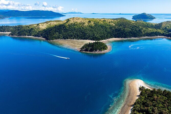 Airlie Beach Glass Bottom Boat Tour - What the live reef commentary adds (and why it keeps kids engaged)