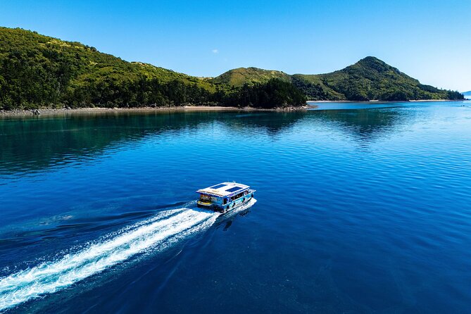 Airlie Beach Glass Bottom Boat Tour - Price and value: $63.83 makes sense when you match your expectations